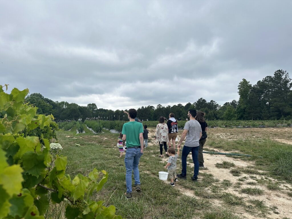 FIT Life Group Berry Picking